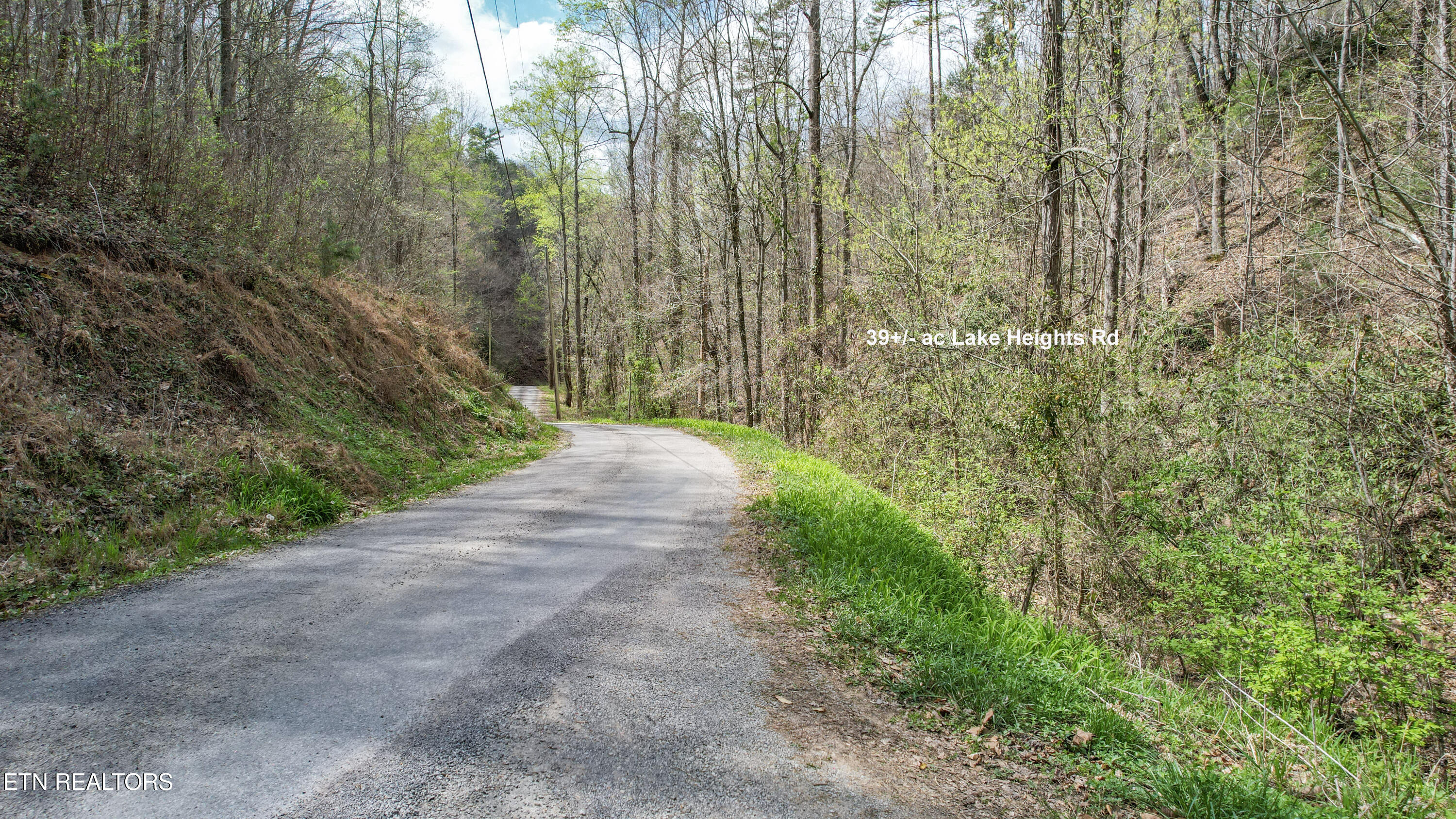 39.02 Ac Lake Heights Road Tellico Plains TN 37385