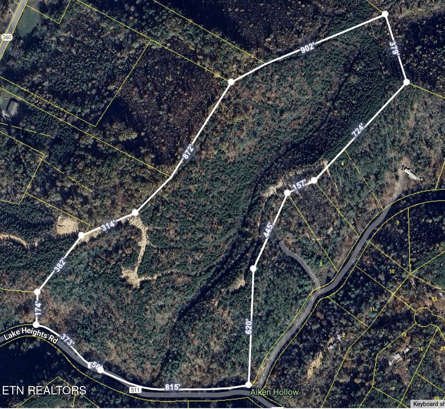 39.02 Ac Lake Heights Road Tellico Plains TN 37385