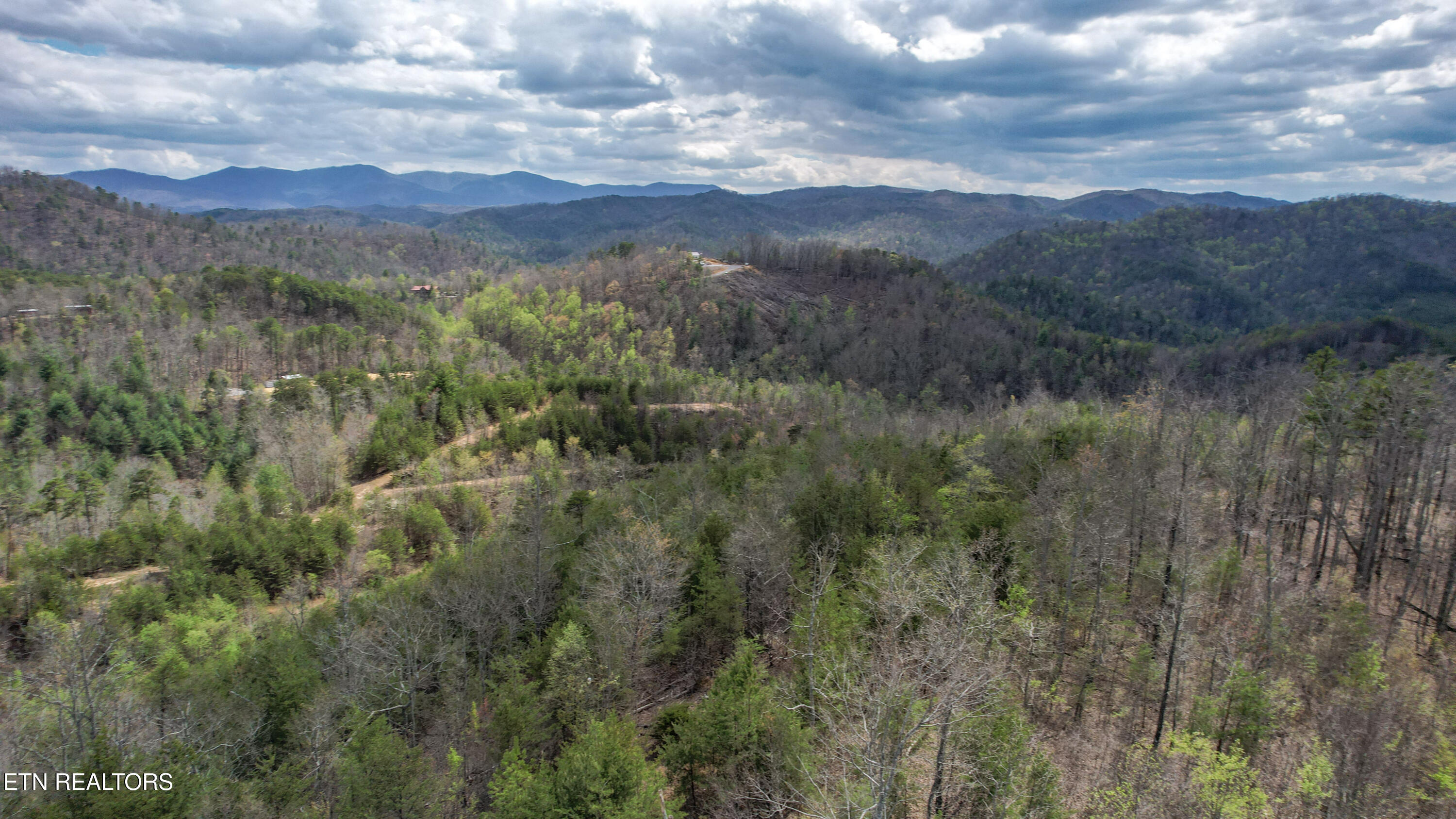 39.02 Ac Lake Heights Road Tellico Plains TN 37385