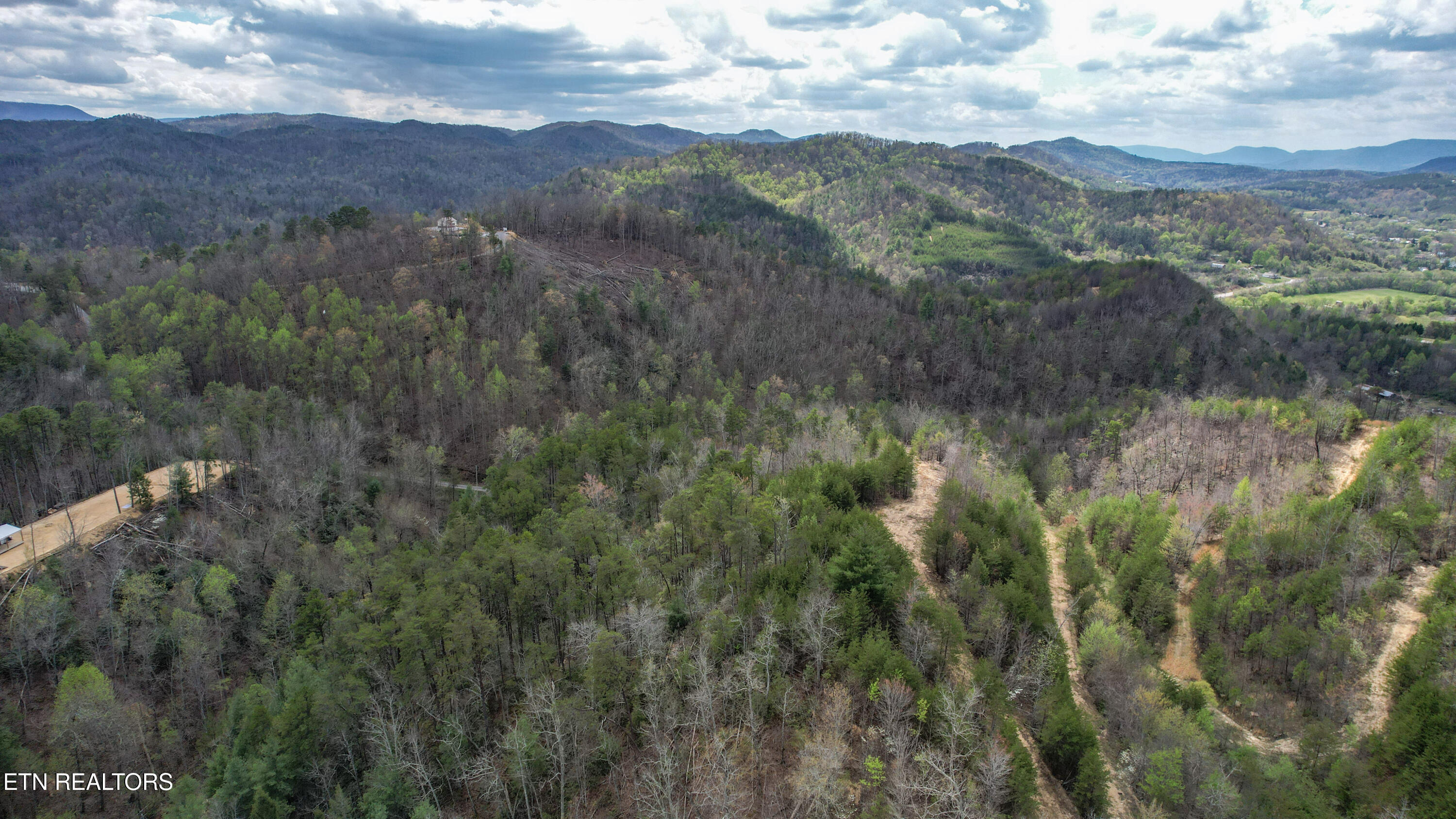39.02 Ac Lake Heights Road Tellico Plains TN 37385