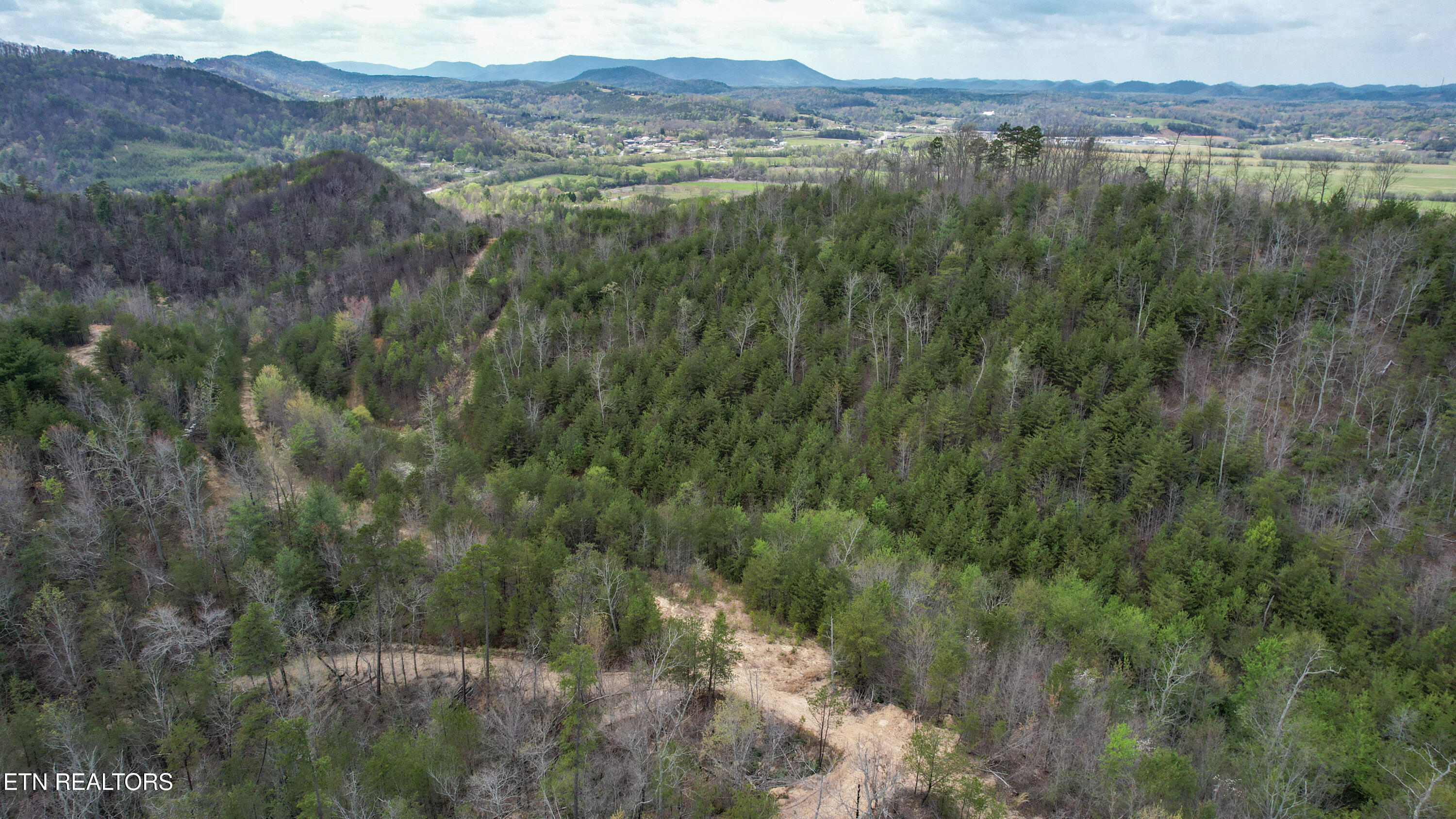 39.02 Ac Lake Heights Road Tellico Plains TN 37385