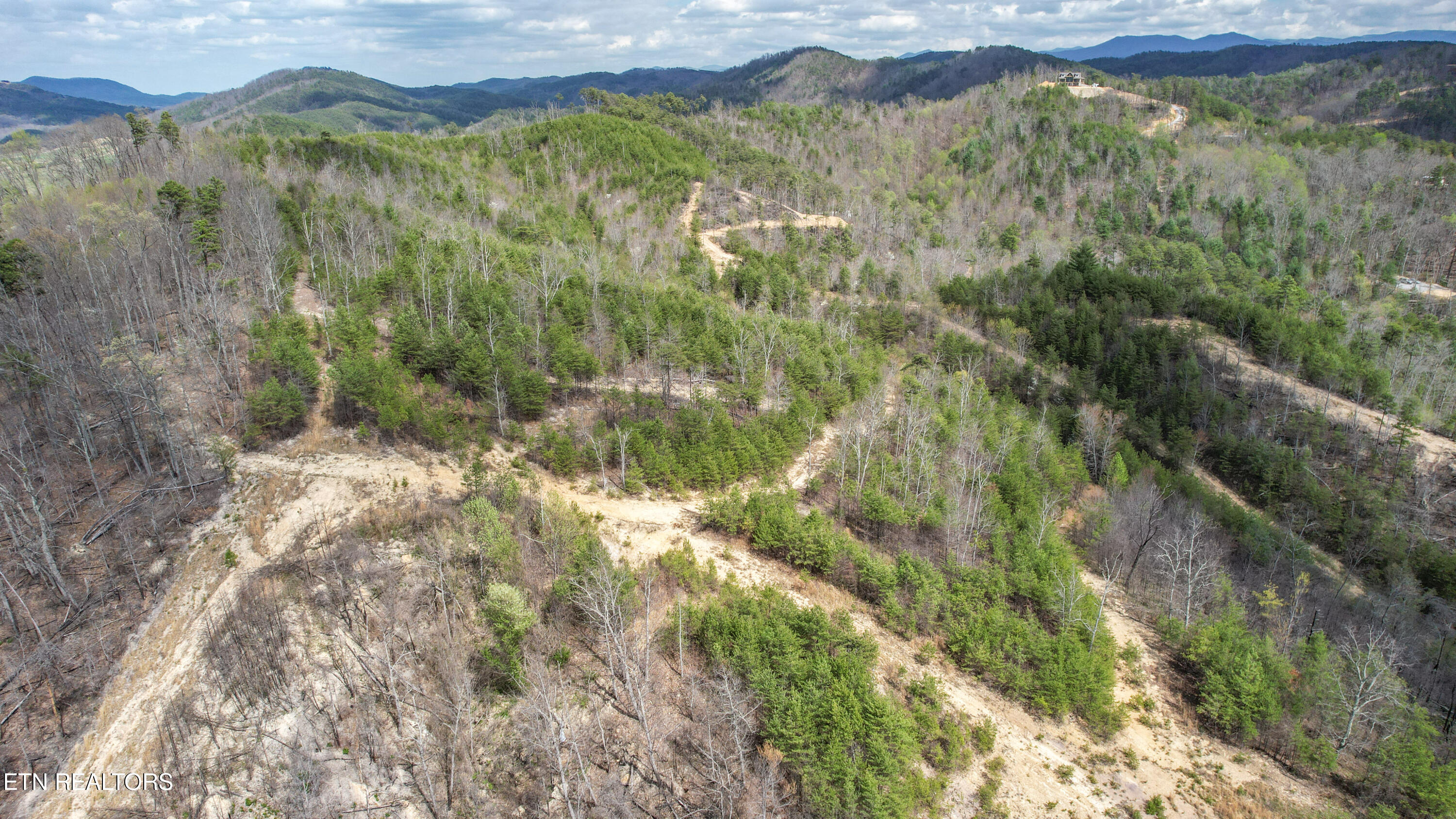 39.02 Ac Lake Heights Road Tellico Plains TN 37385