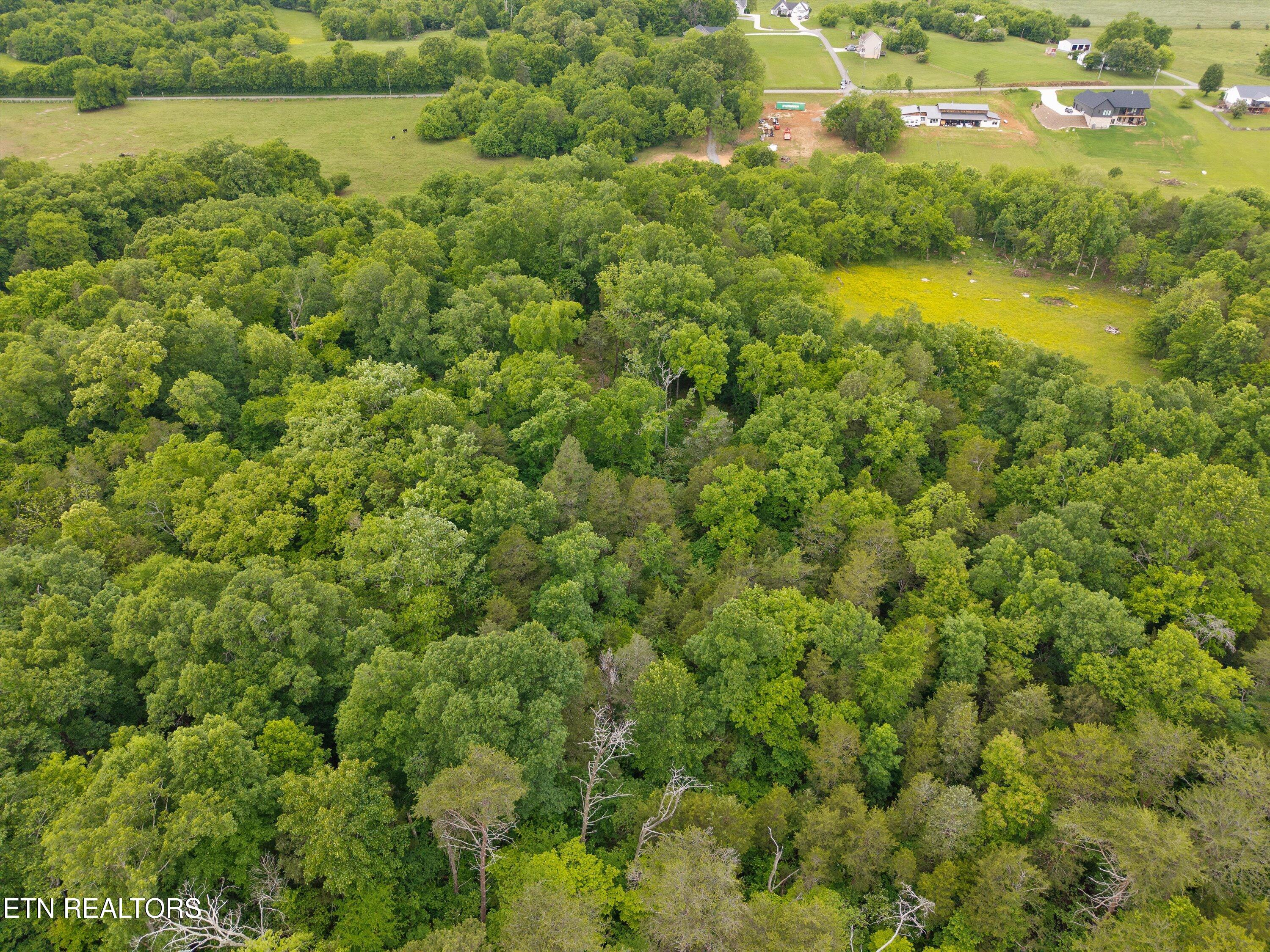 4181 Lowes Ferry Road Louisville TN 37777