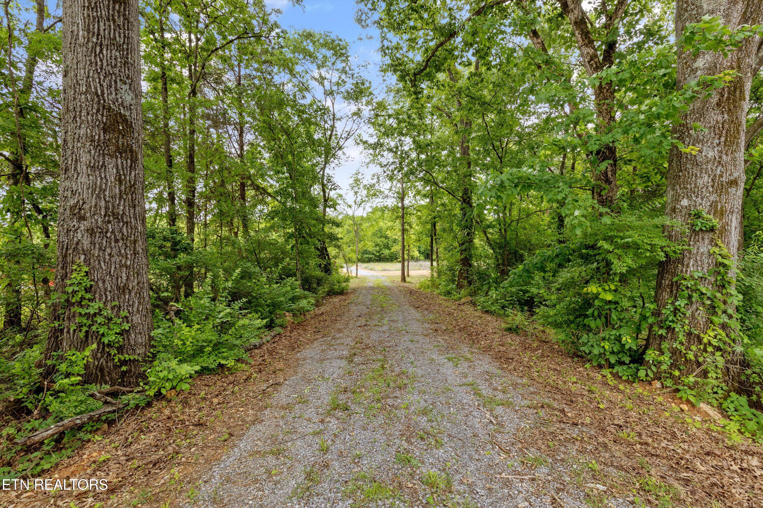 4181 Lowes Ferry Road Louisville TN 37777