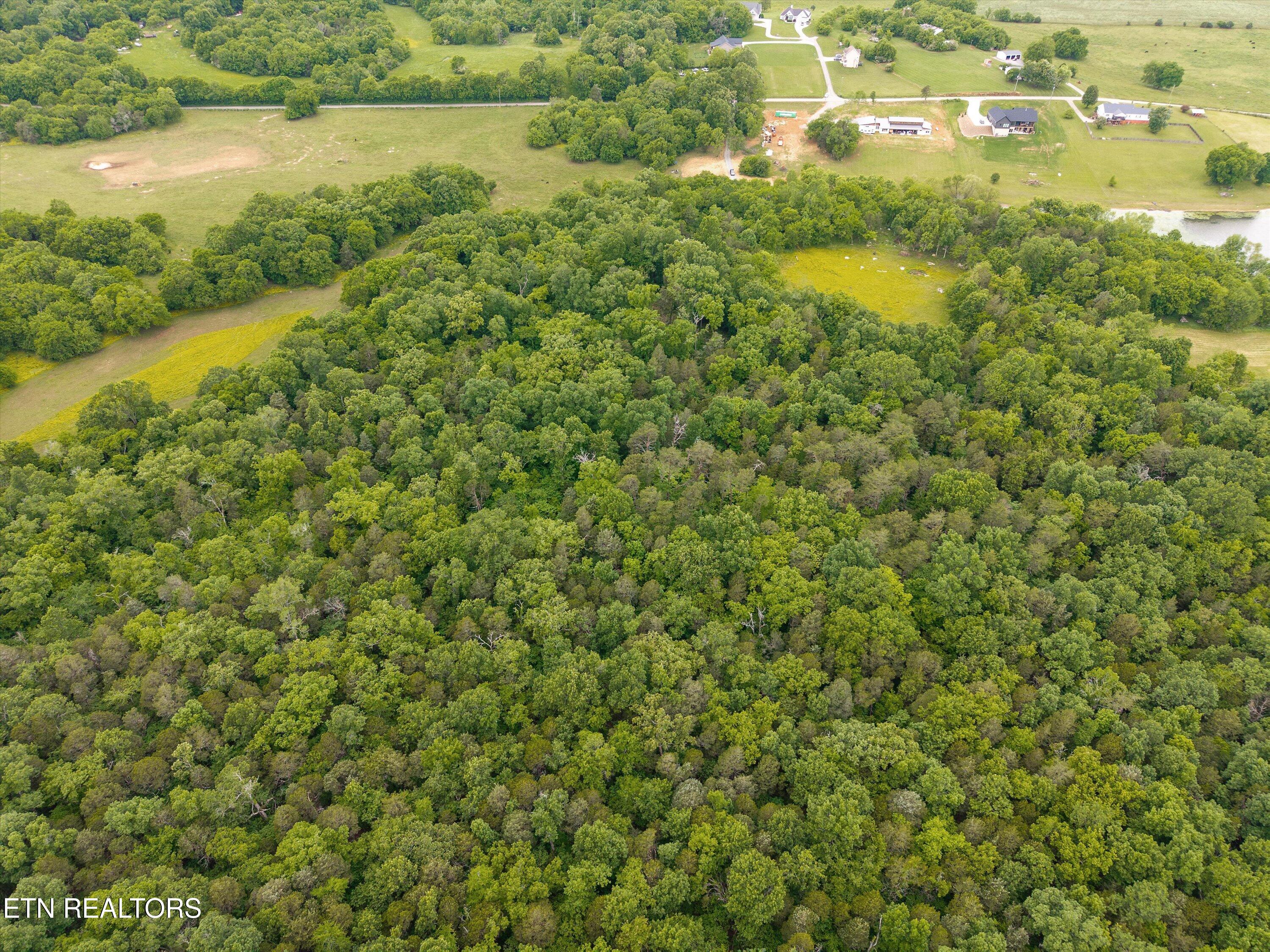 4181 Lowes Ferry Road Louisville TN 37777