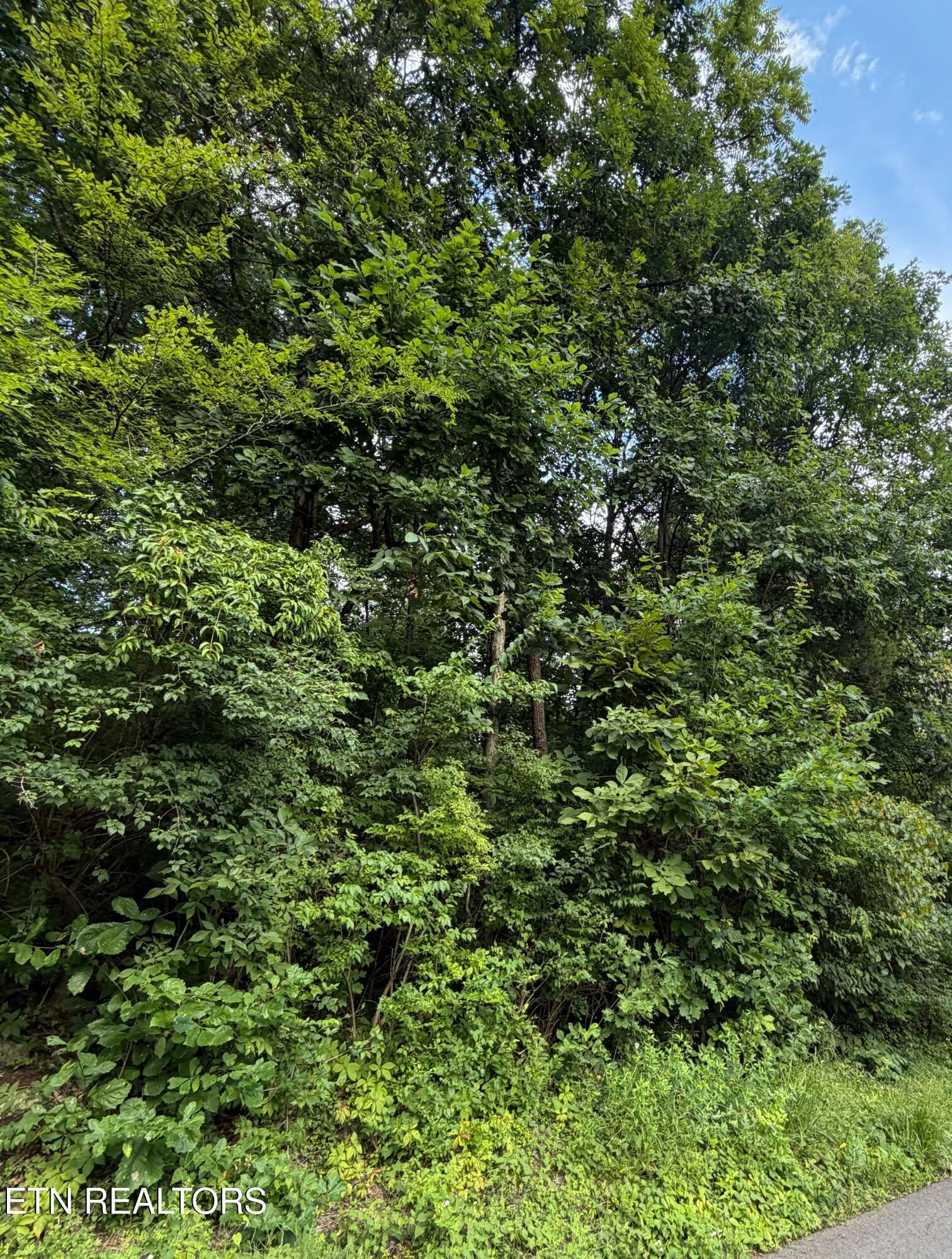 Lot 93 Rockhaven Road Knoxville TN 37920