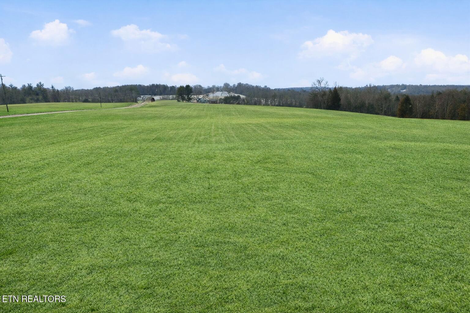 Highway 62 Deer Lodge TN 37726
