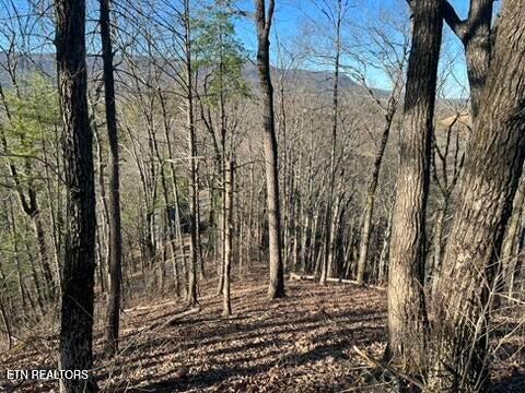 2353 Headrick Lead Sevierville TN 37862