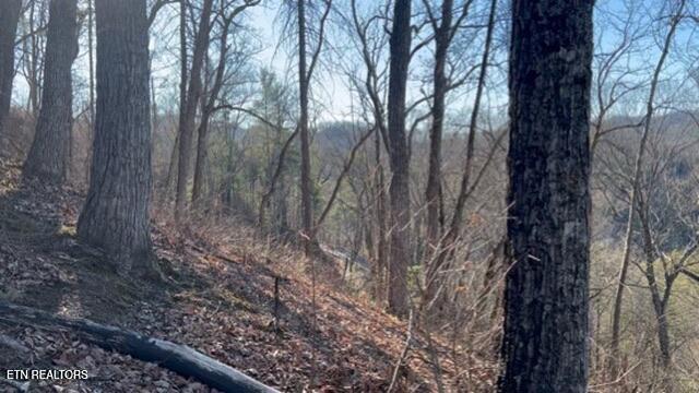 2353 Headrick Lead Sevierville TN 37862