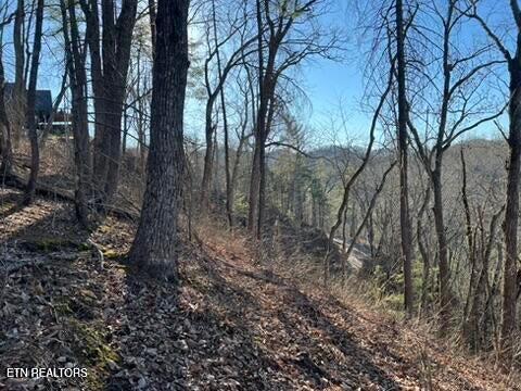 2353 Headrick Lead Sevierville TN 37862