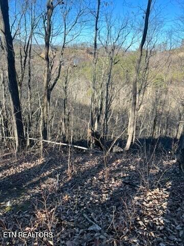 2353 Headrick Lead Sevierville TN 37862