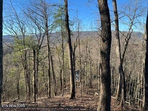2353 Headrick Lead Sevierville TN 37862