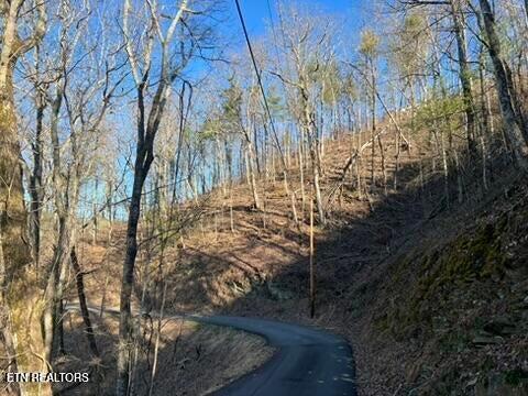 2353 Headrick Lead Sevierville TN 37862