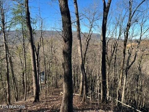 2353 Headrick Lead Sevierville TN 37862