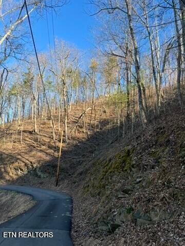 2353 Headrick Lead Sevierville TN 37862