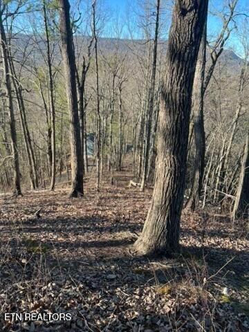 2353 Headrick Lead Sevierville TN 37862