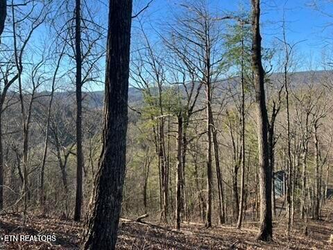 2353 Headrick Lead Sevierville TN 37862
