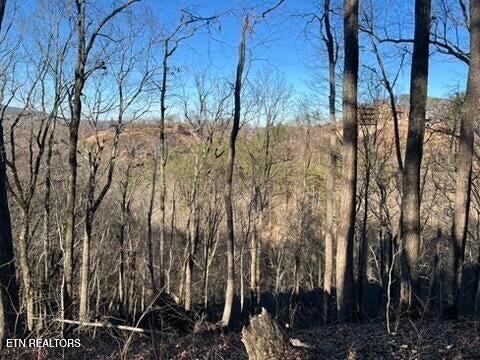 2353 Headrick Lead Sevierville TN 37862