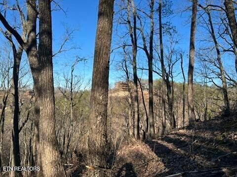 2353 Headrick Lead Sevierville TN 37862