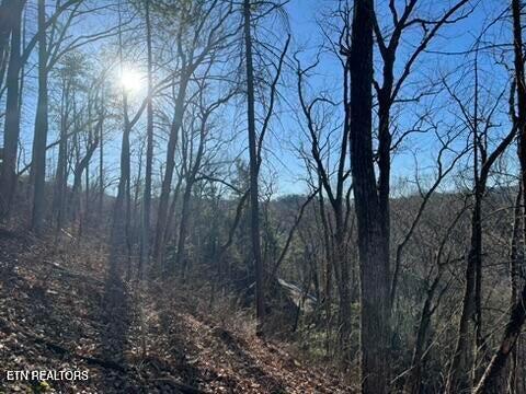 2353 Headrick Lead Sevierville TN 37862