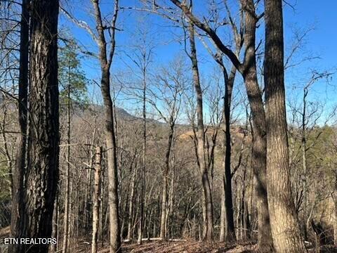 2353 Headrick Lead Sevierville TN 37862
