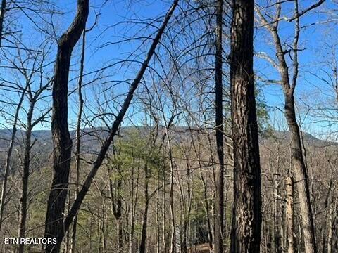 2353 Headrick Lead Sevierville TN 37862