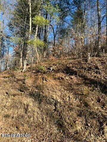 2353 Headrick Lead Sevierville TN 37862