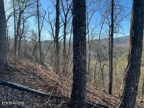 2353 Headrick Lead Sevierville TN 37862