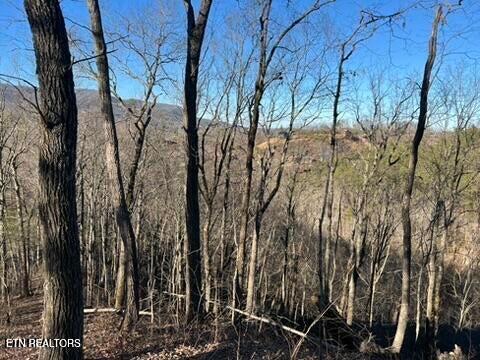 2353 Headrick Lead Sevierville TN 37862