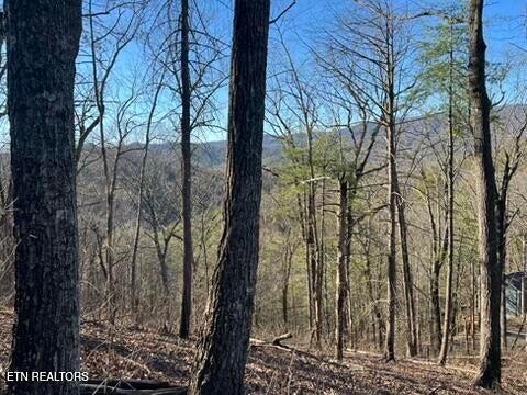 2353 Headrick Lead Sevierville TN 37862
