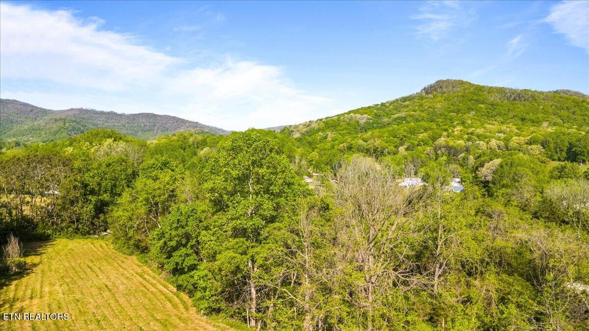 Park Road Caryville TN 37714
