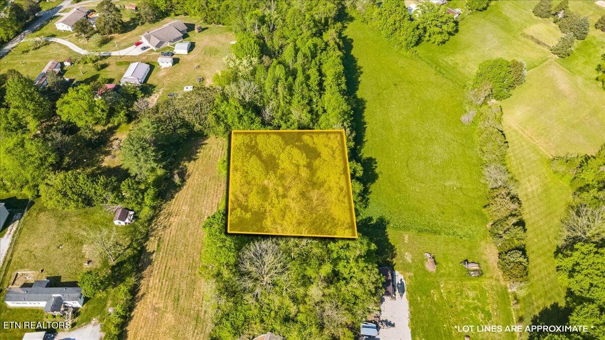 Park Road Caryville TN 37714