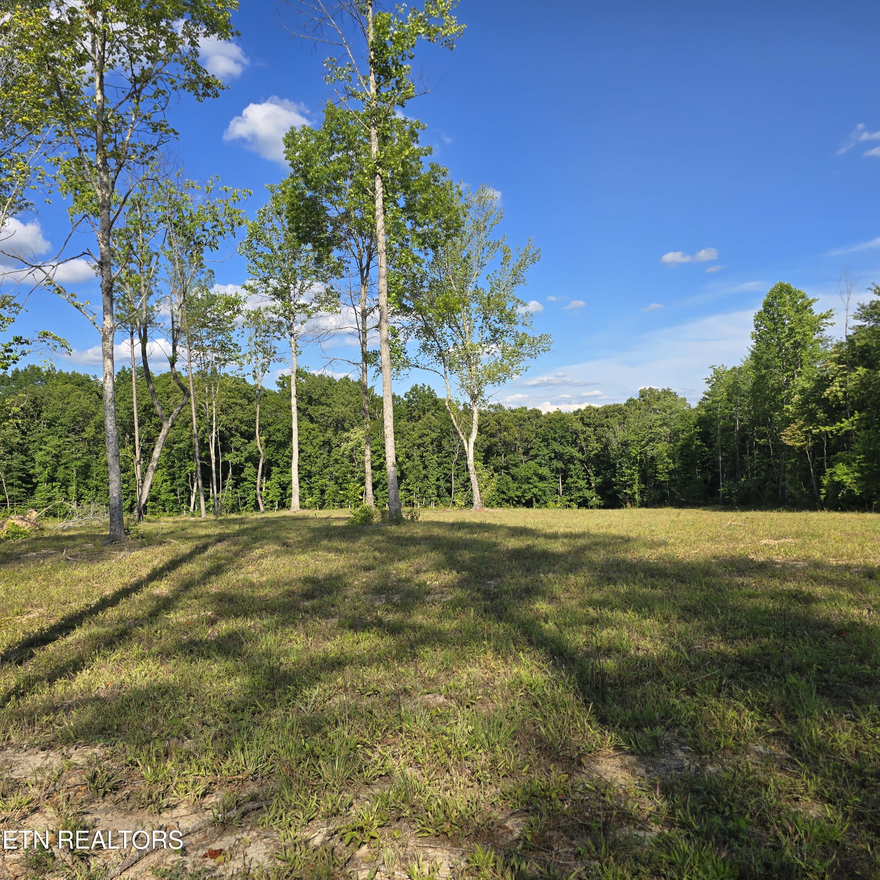 80+/- Ac Red Hill Road Sunbright TN 37872