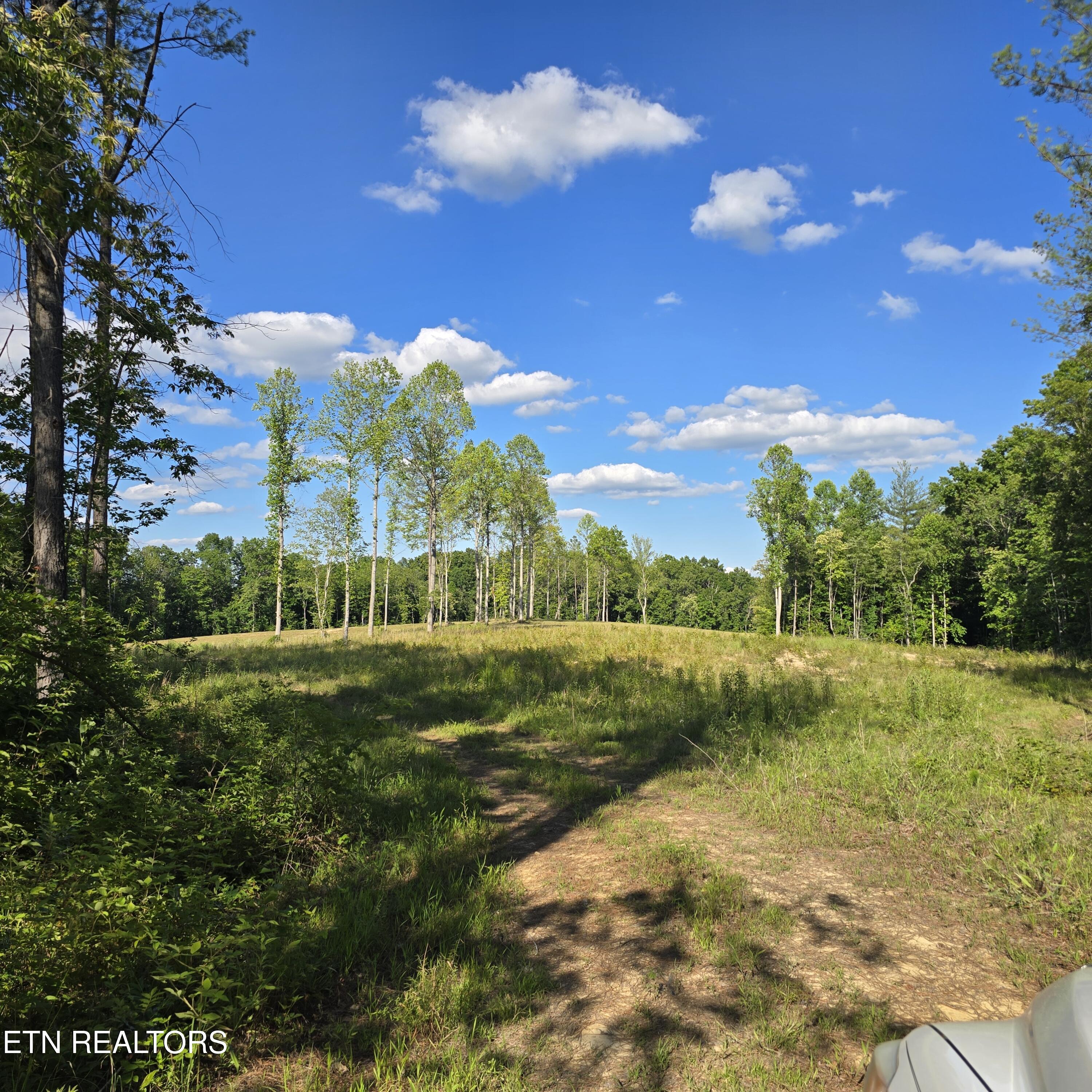 80+/- Ac Red Hill Road Sunbright TN 37872