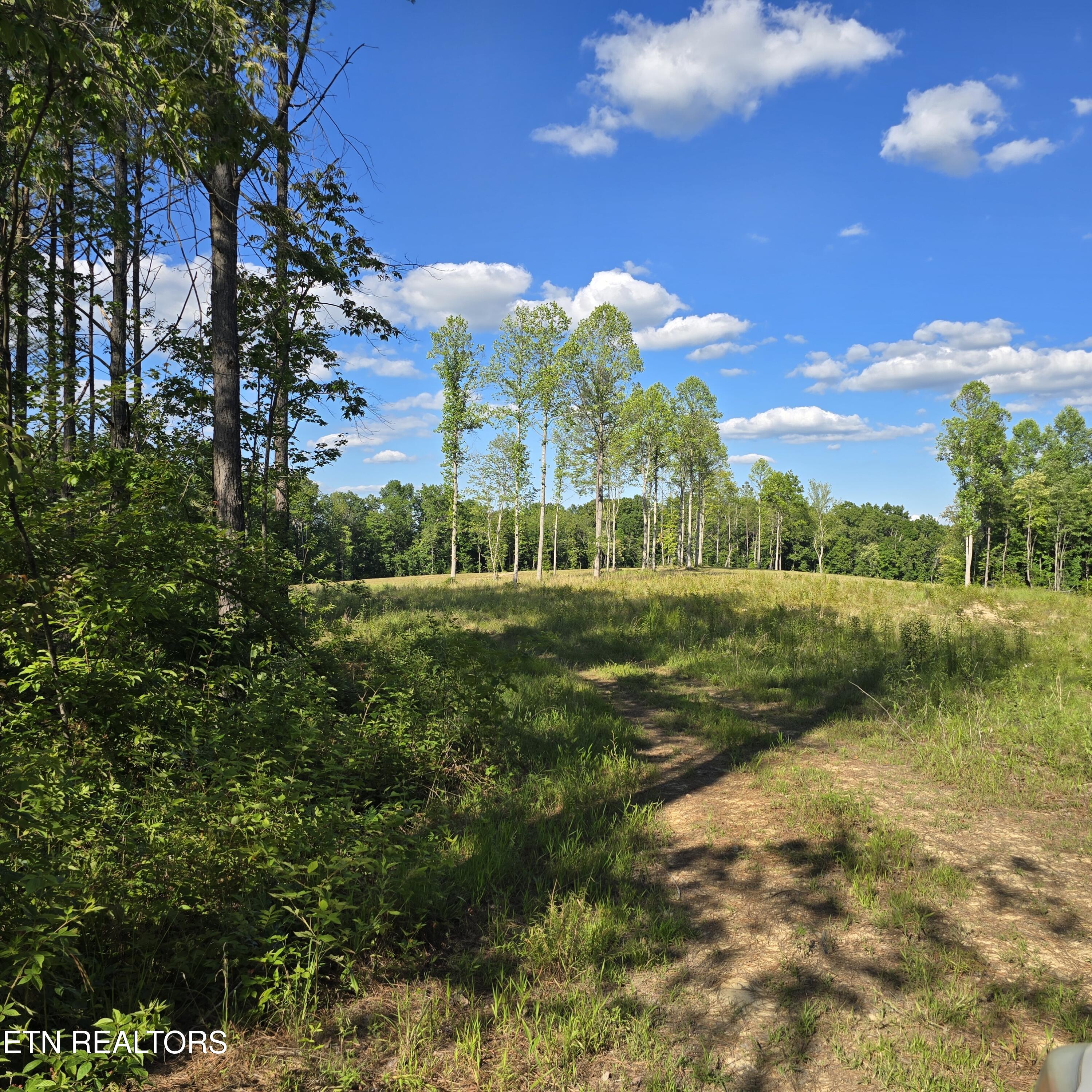 80+/- Ac Red Hill Road Sunbright TN 37872