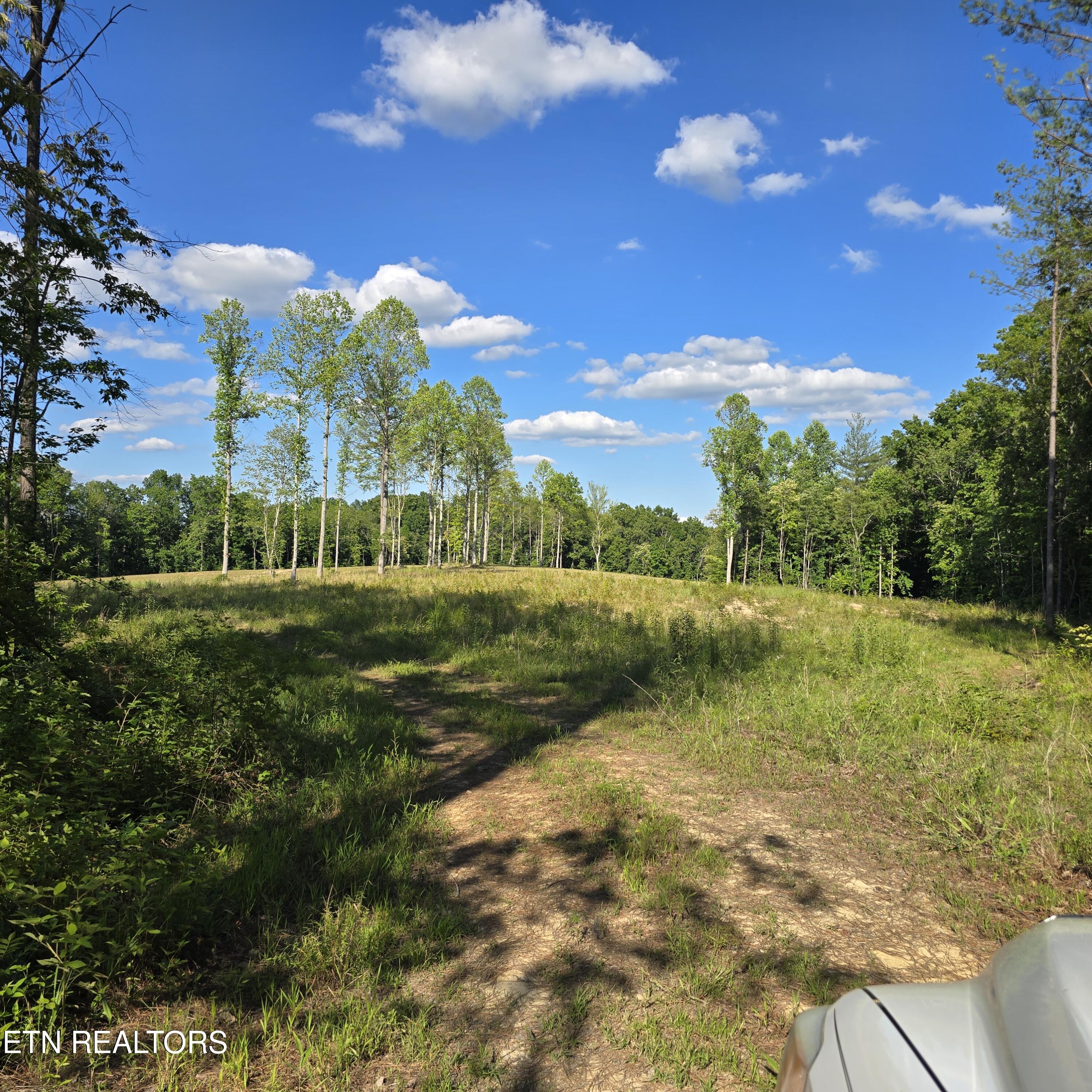 80+/- Ac Red Hill Road Sunbright TN 37872