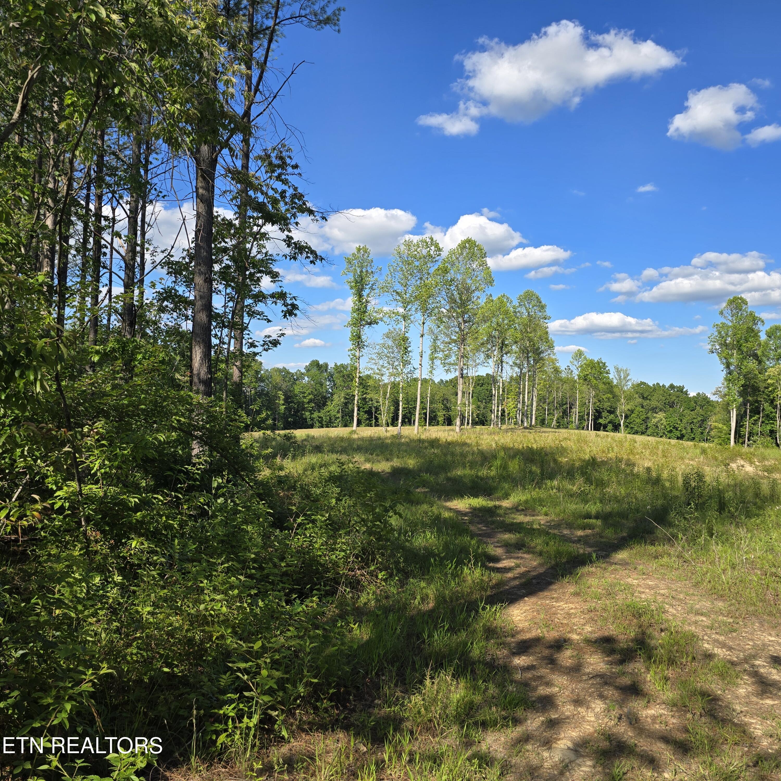 80+/- Ac Red Hill Road Sunbright TN 37872