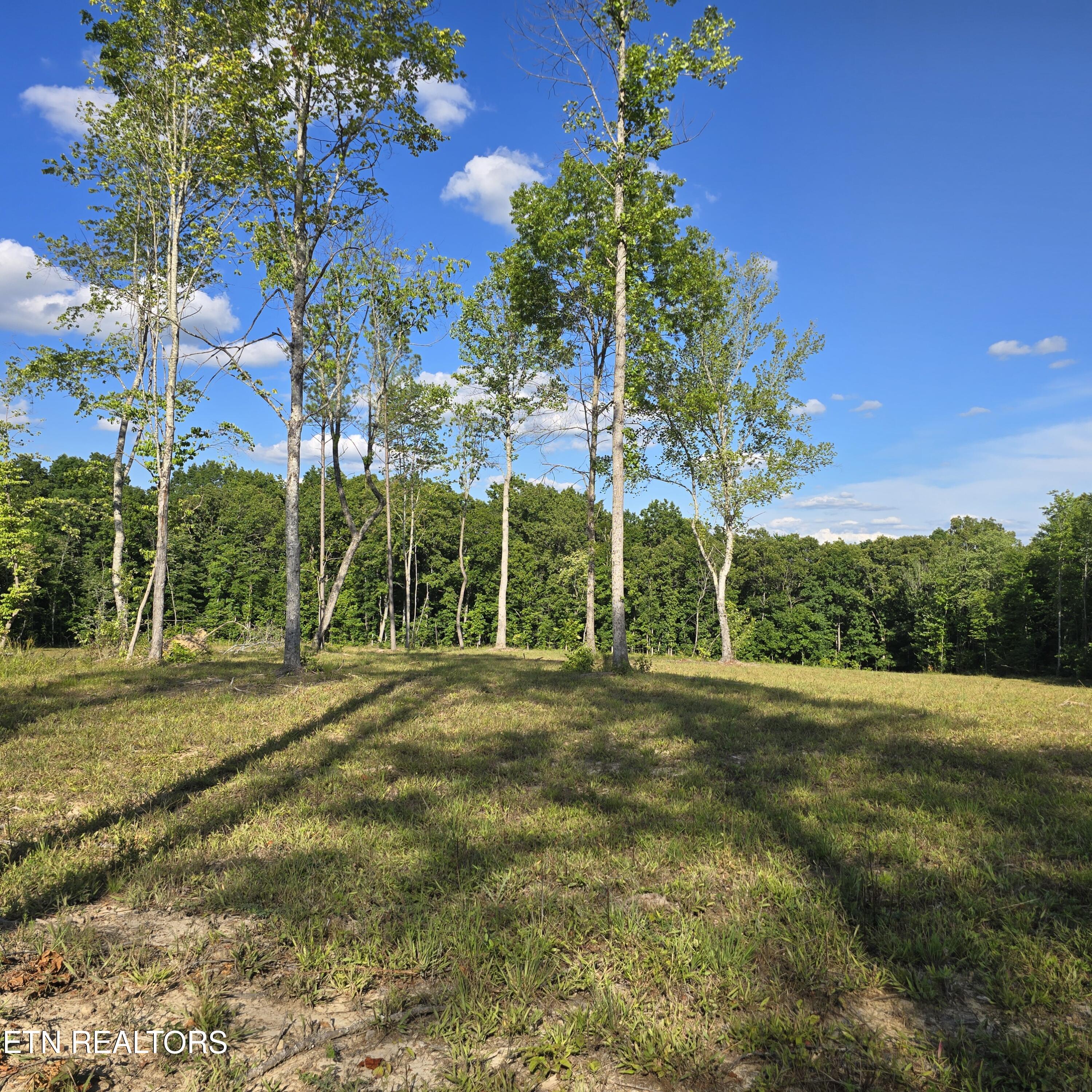 80+/- Ac Red Hill Road Sunbright TN 37872