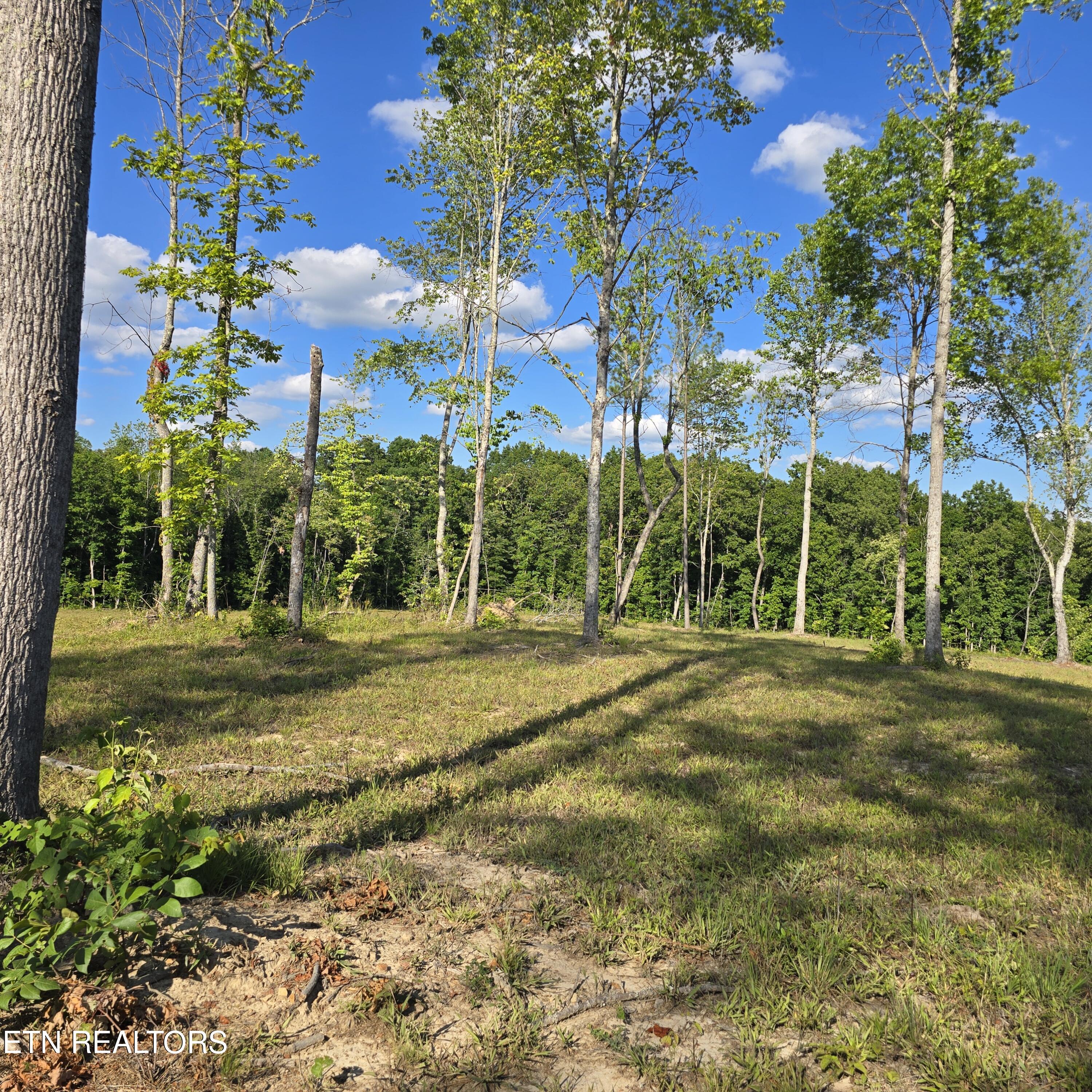 80+/- Ac Red Hill Road Sunbright TN 37872