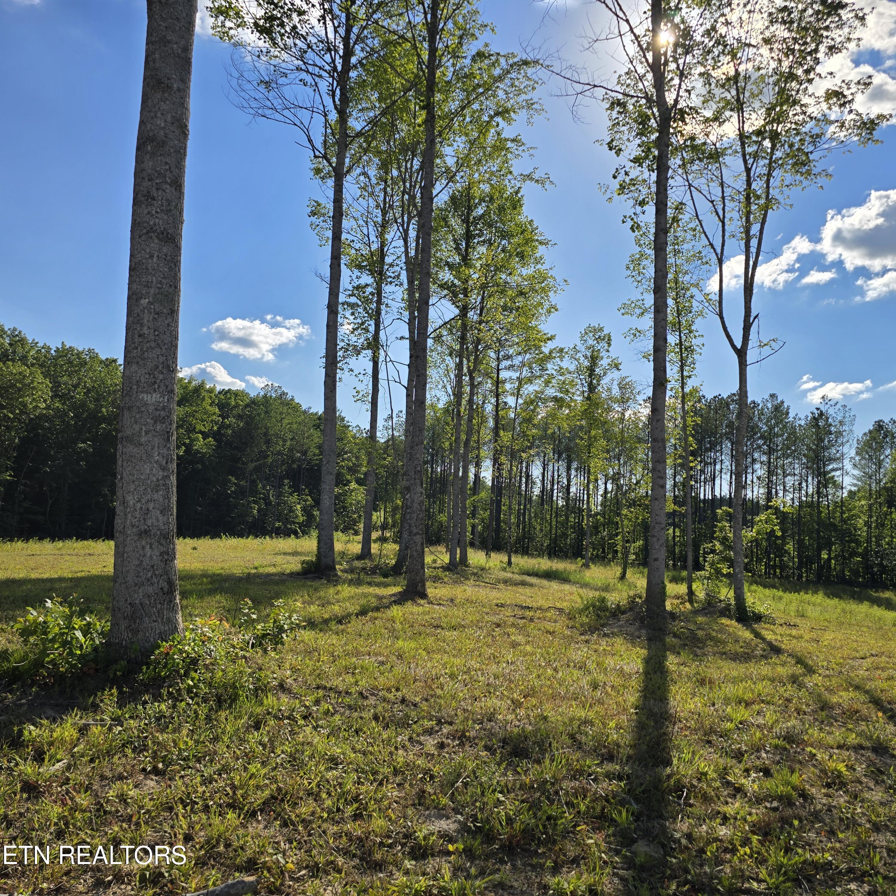 80+/- Ac Red Hill Road Sunbright TN 37872