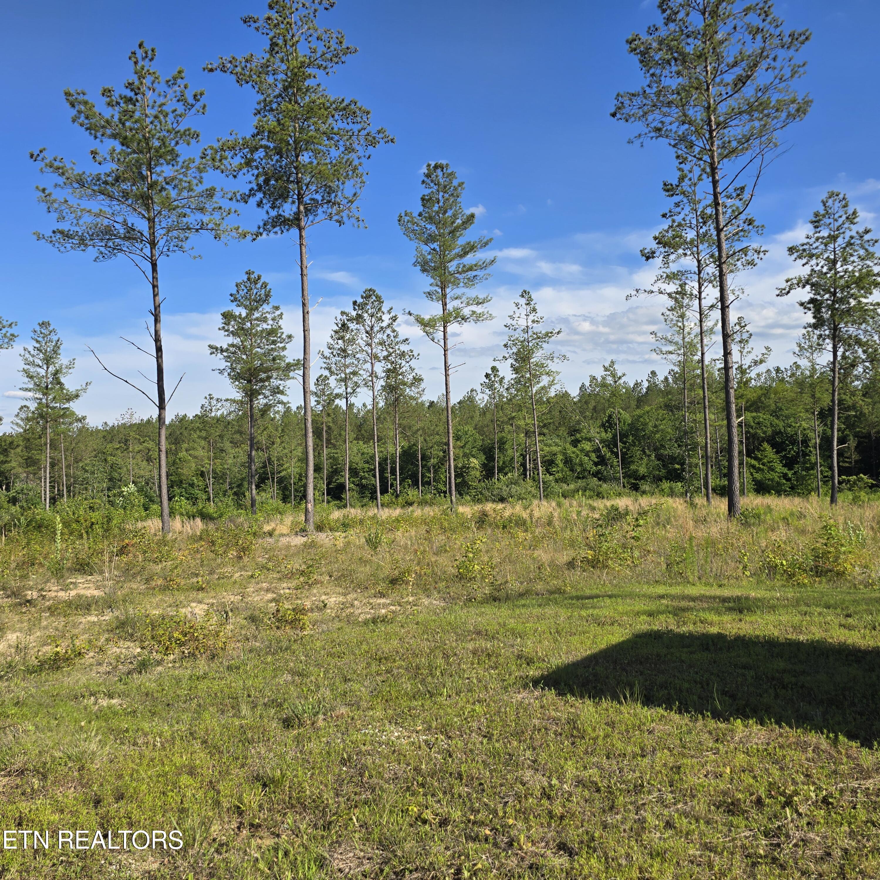 80+/- Ac Red Hill Road Sunbright TN 37872