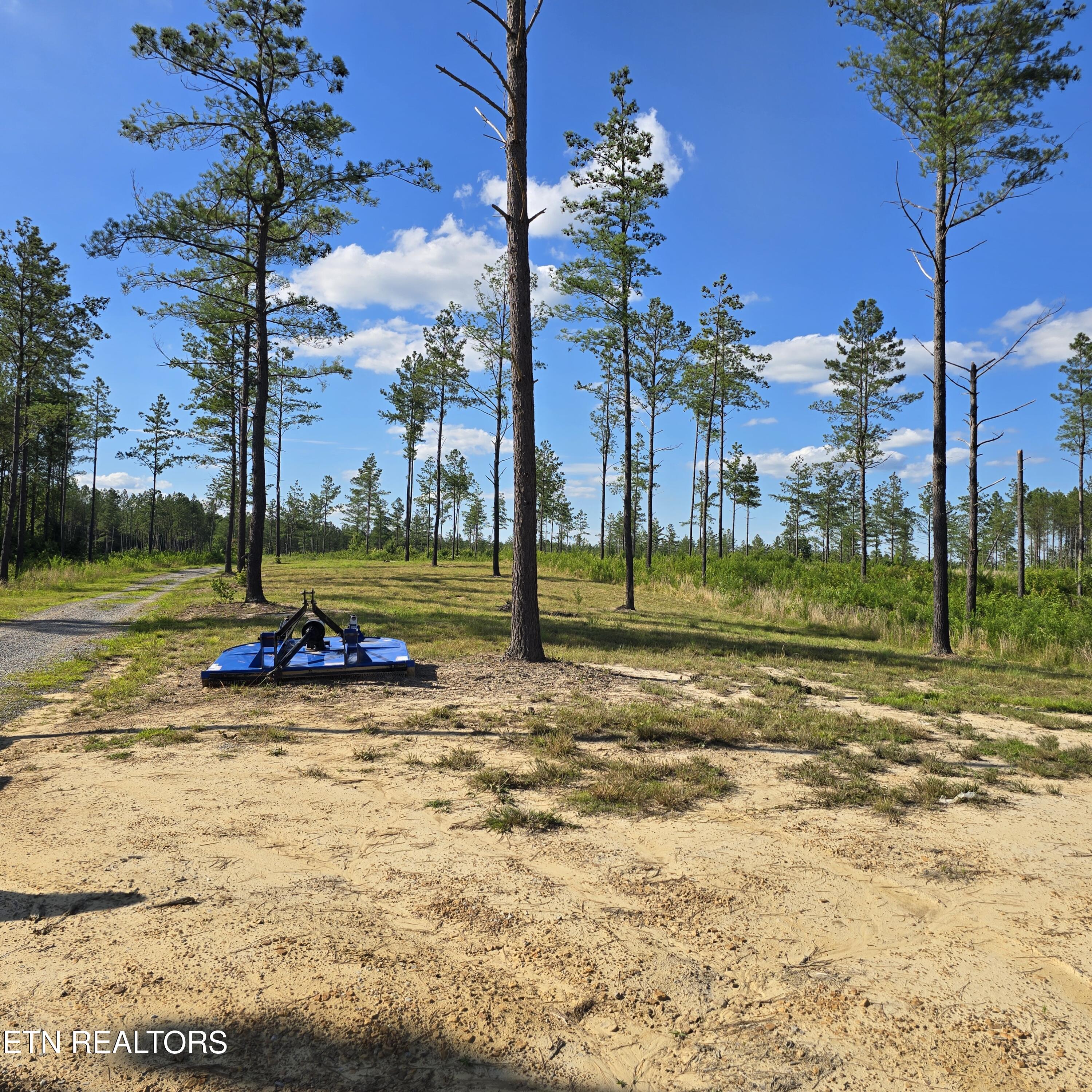 80+/- Ac Red Hill Road Sunbright TN 37872