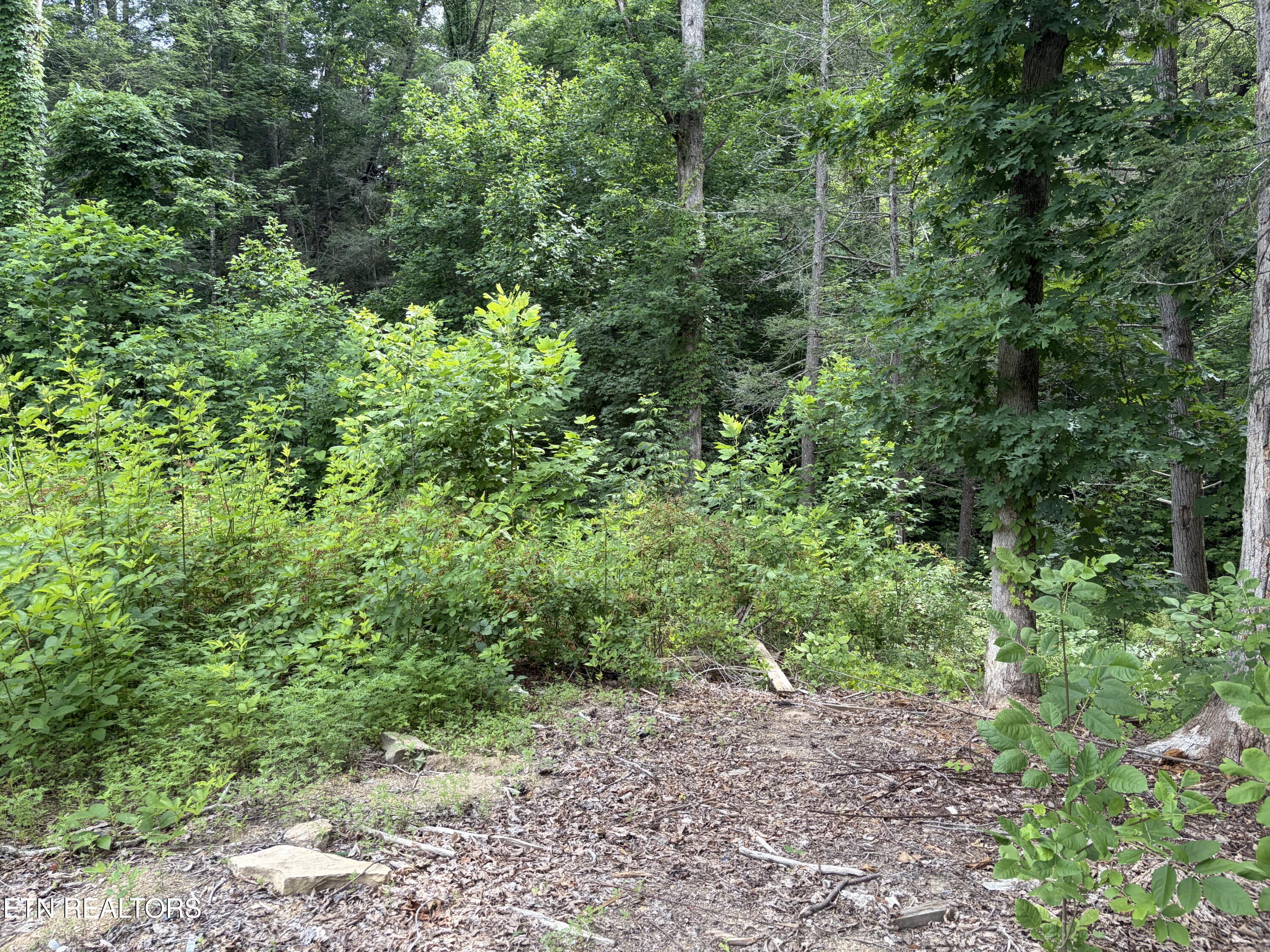 2708 Dayne Drive Sevierville TN 37876