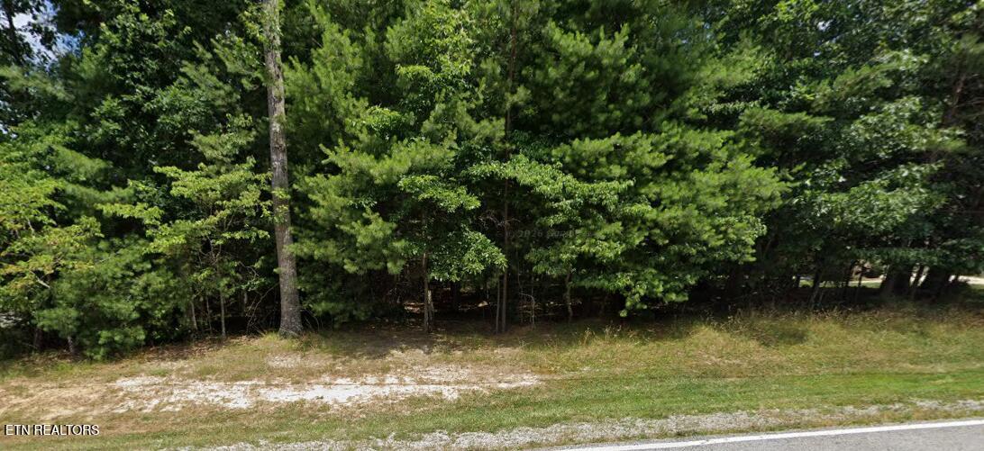 184 Forest View Drive Crossville TN 38558