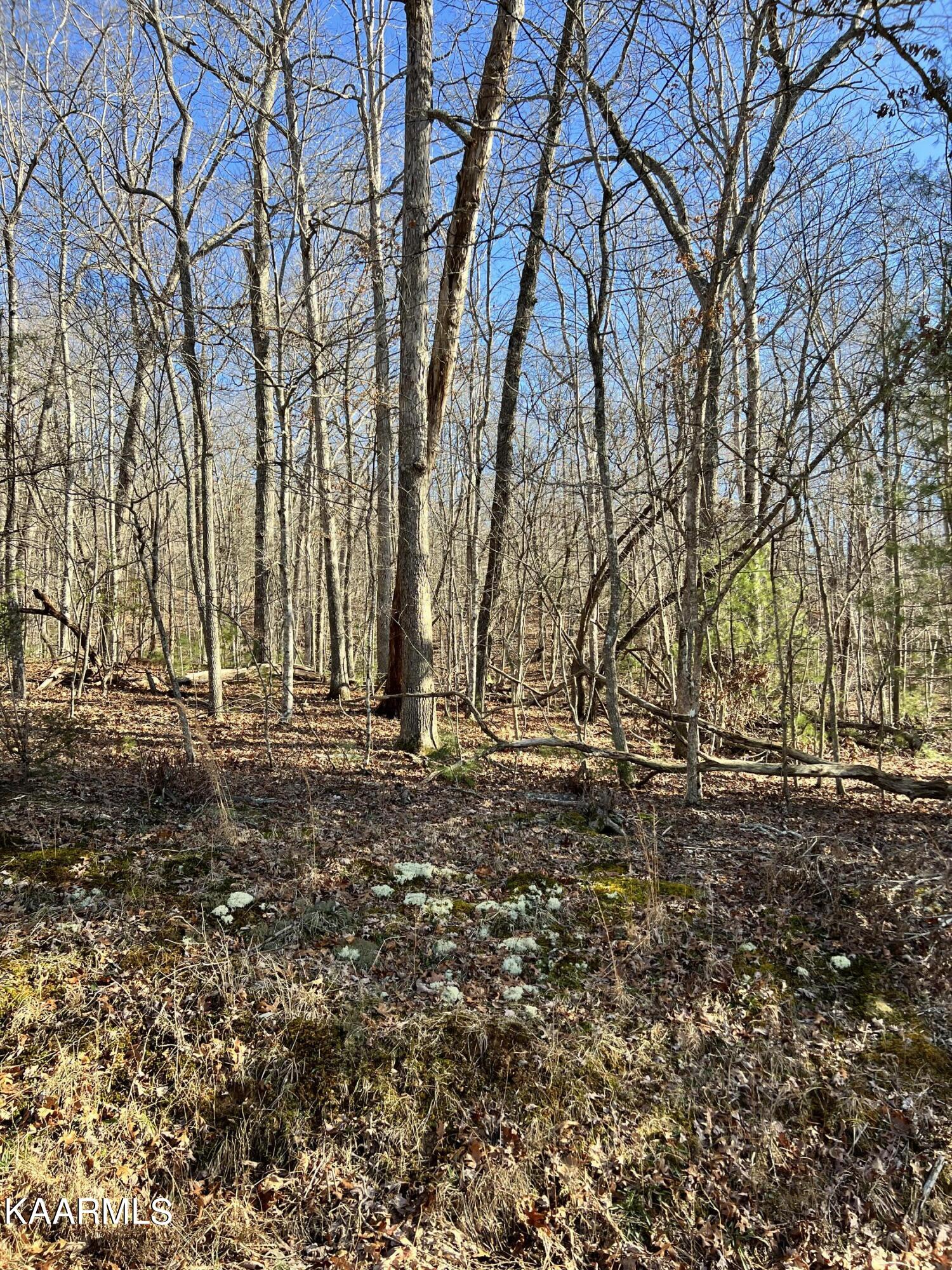 14 Homberg Lane Crossville TN 38558
