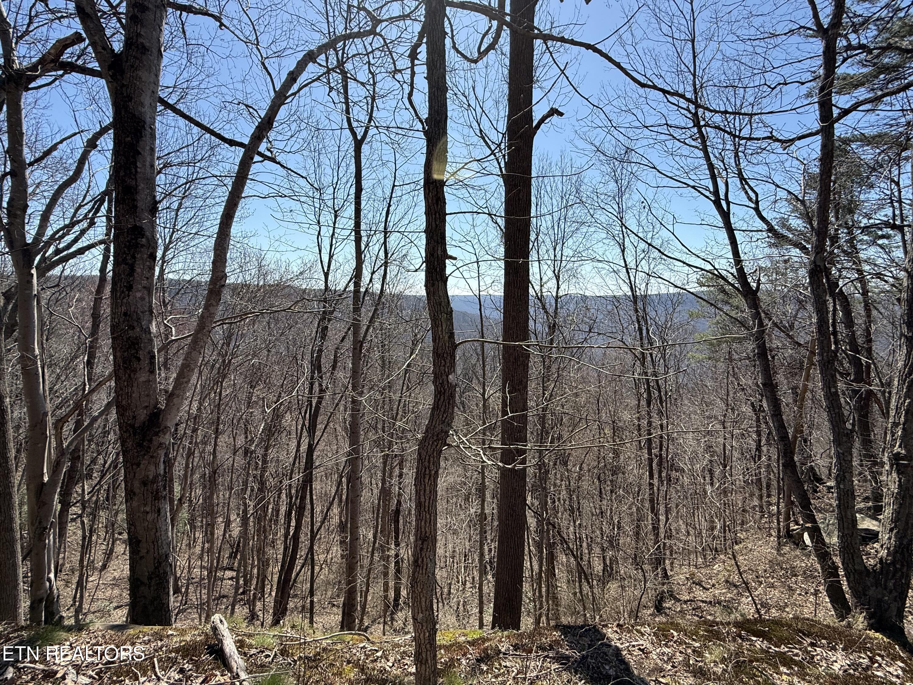 Cumberland Cove Road Monterey TN 38574