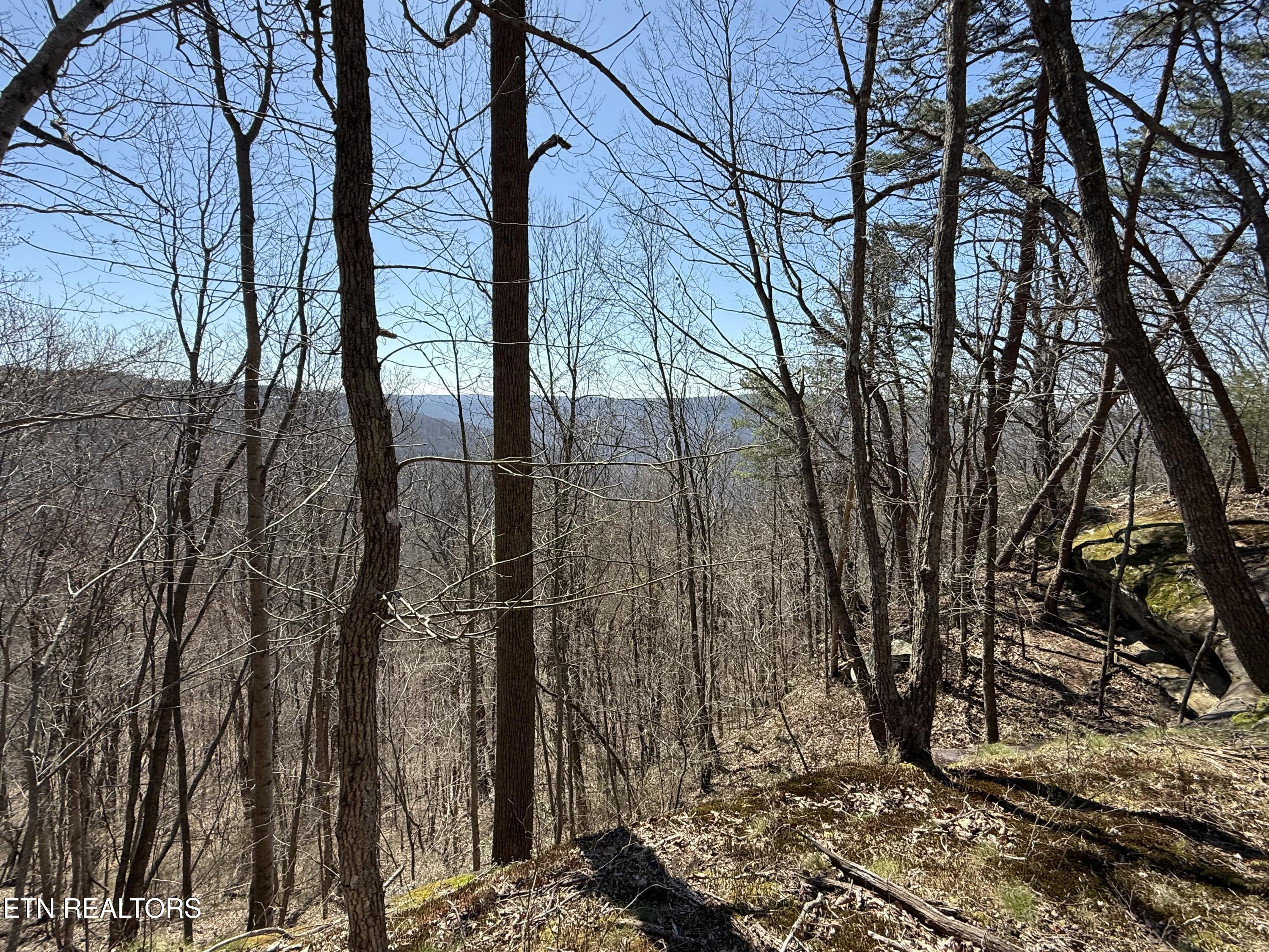 Cumberland Cove Road Monterey TN 38574