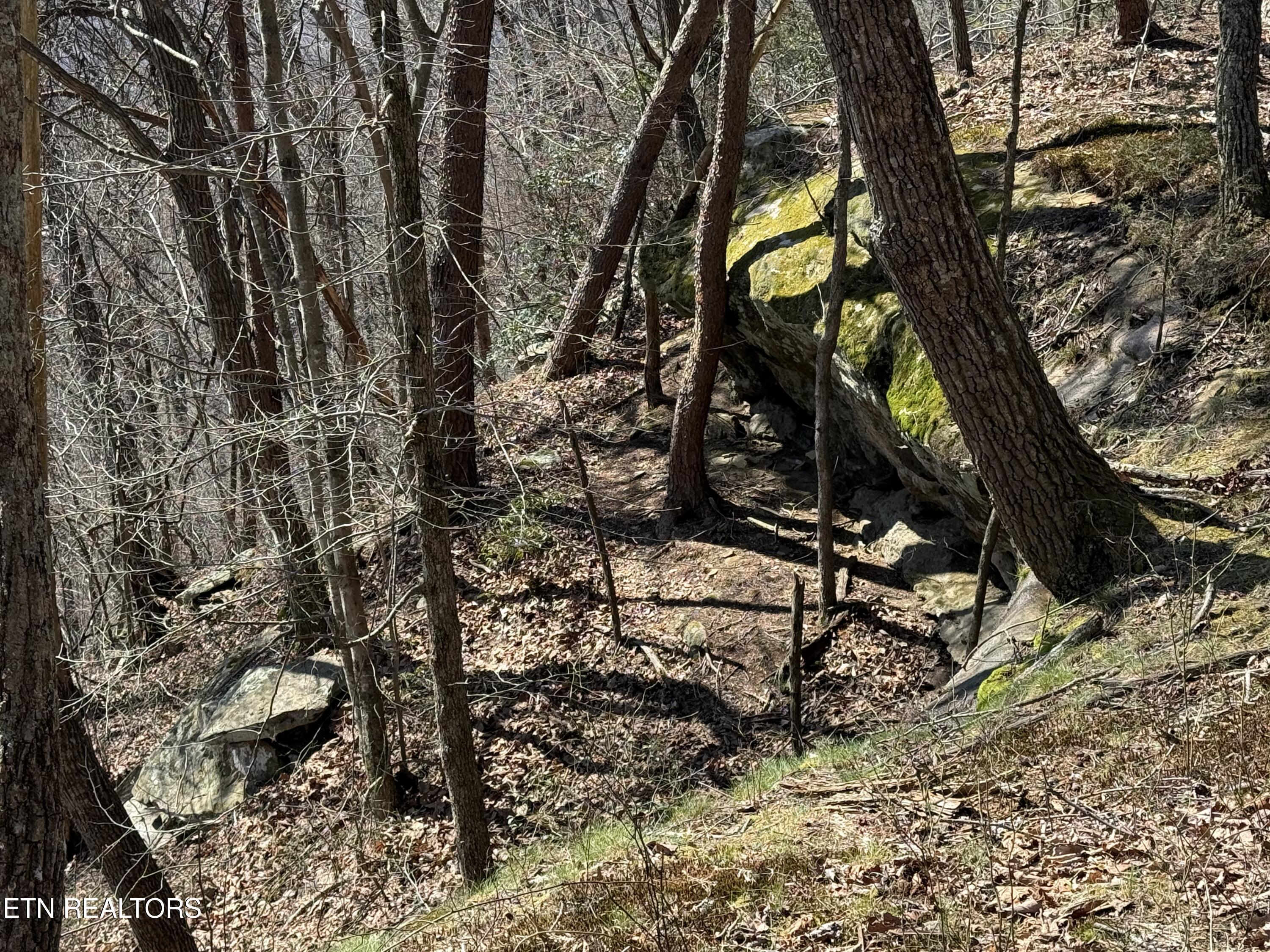 Cumberland Cove Road Monterey TN 38574