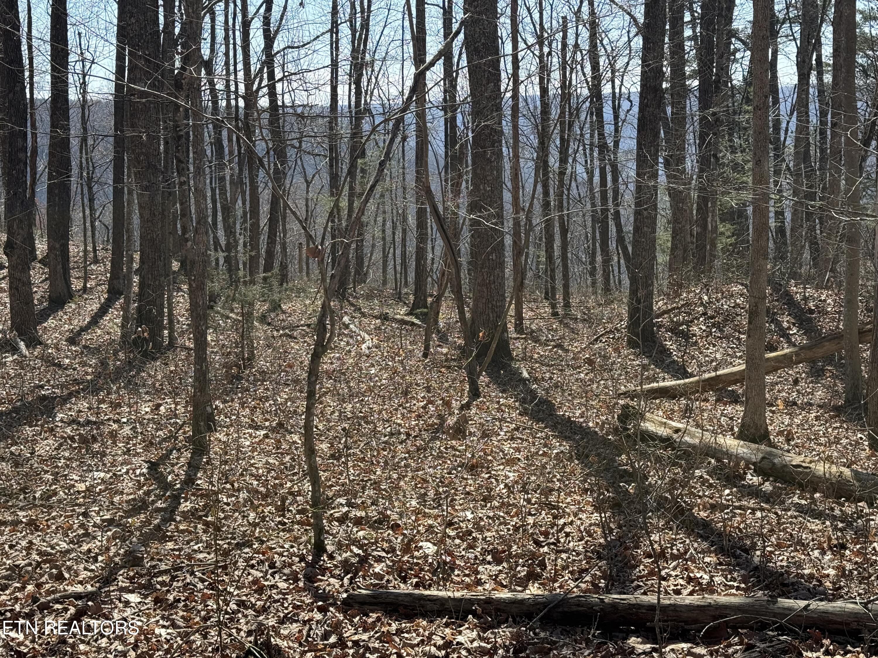 Cumberland Cove Road Monterey TN 38574