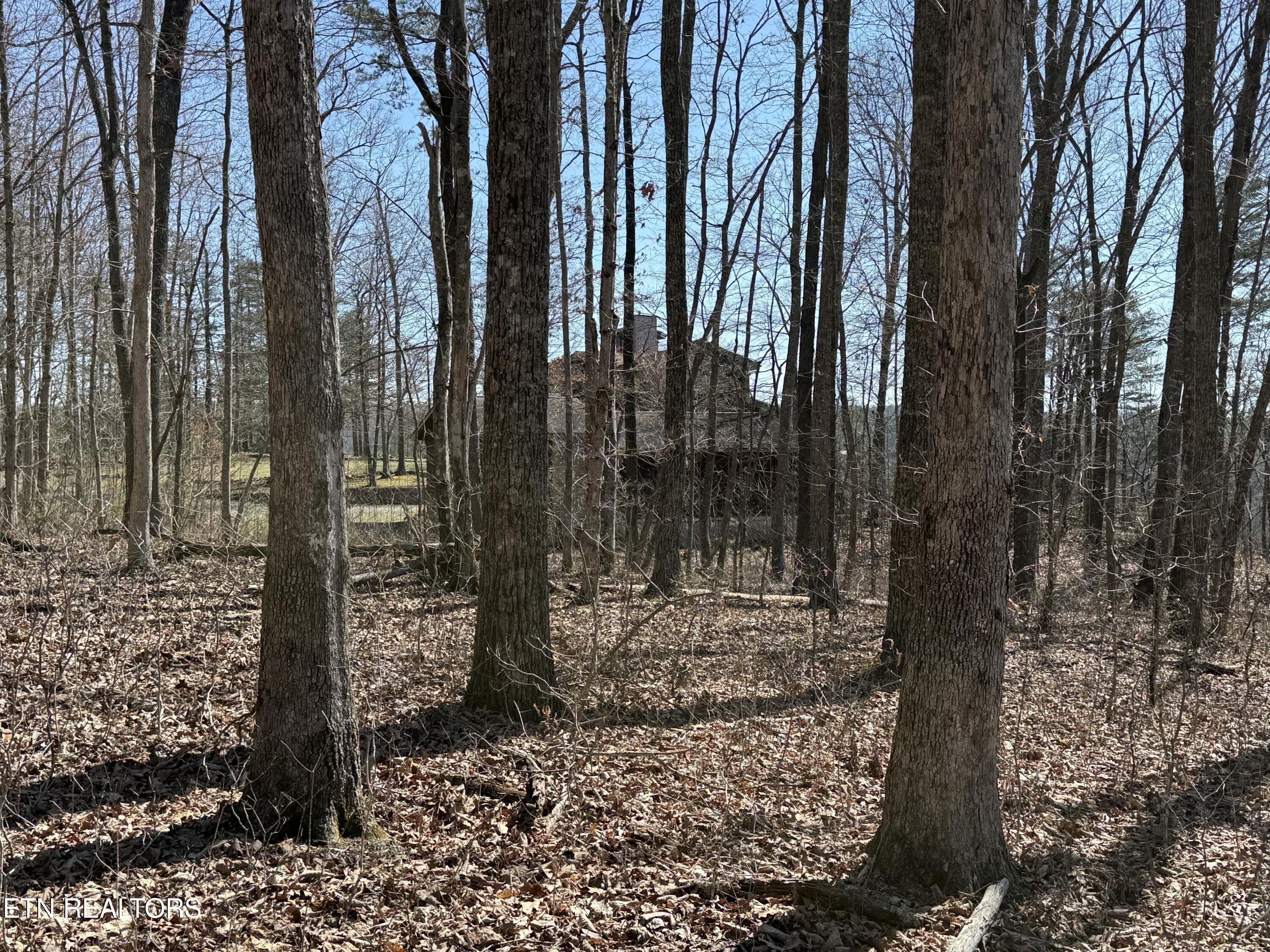 Cumberland Cove Road Monterey TN 38574